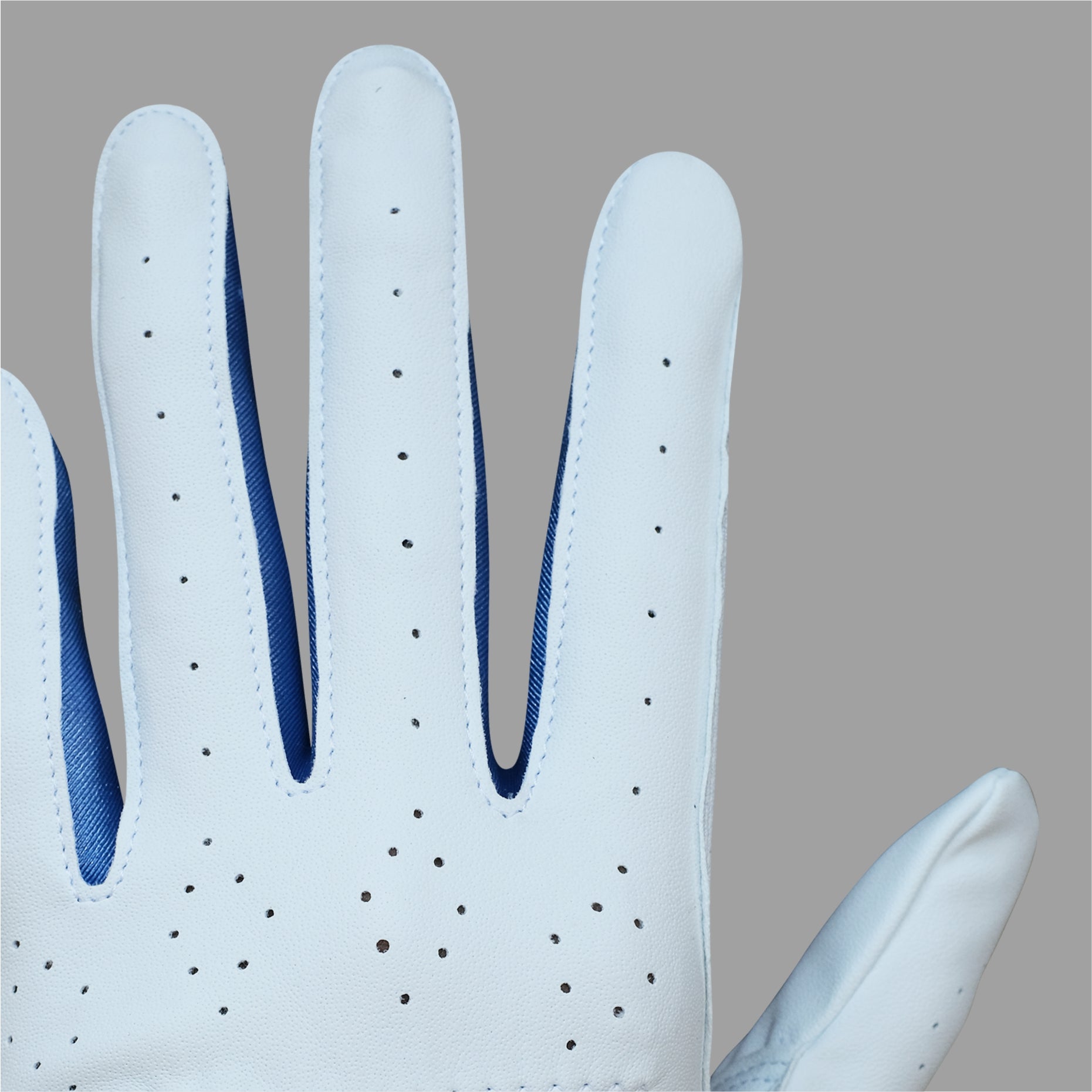 Paige Golf Gloves