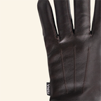 Fancy Dress Gloves