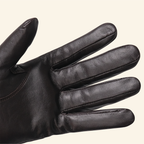 Fancy Dress Gloves